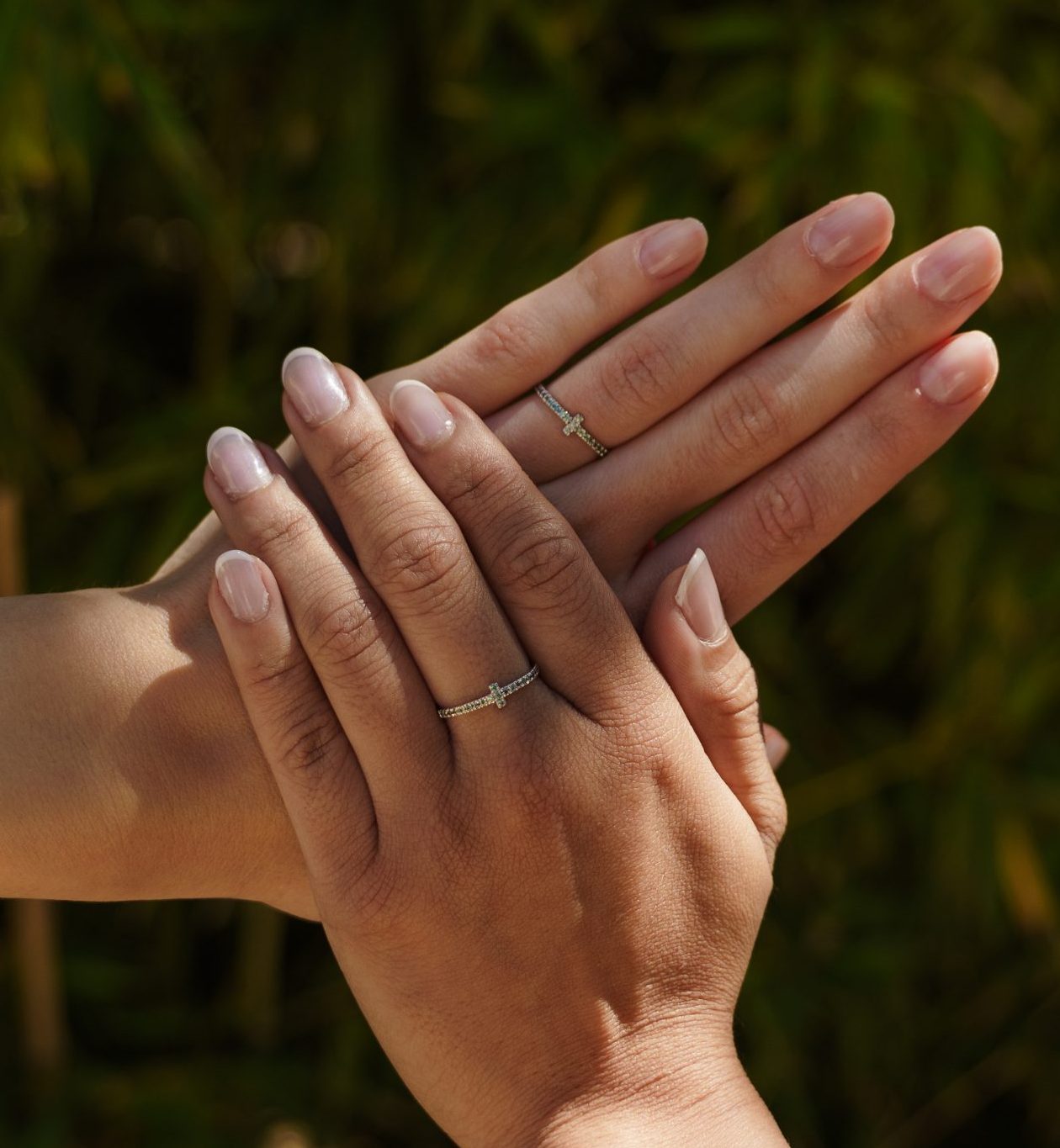 Modelo Votum - Imagen 2