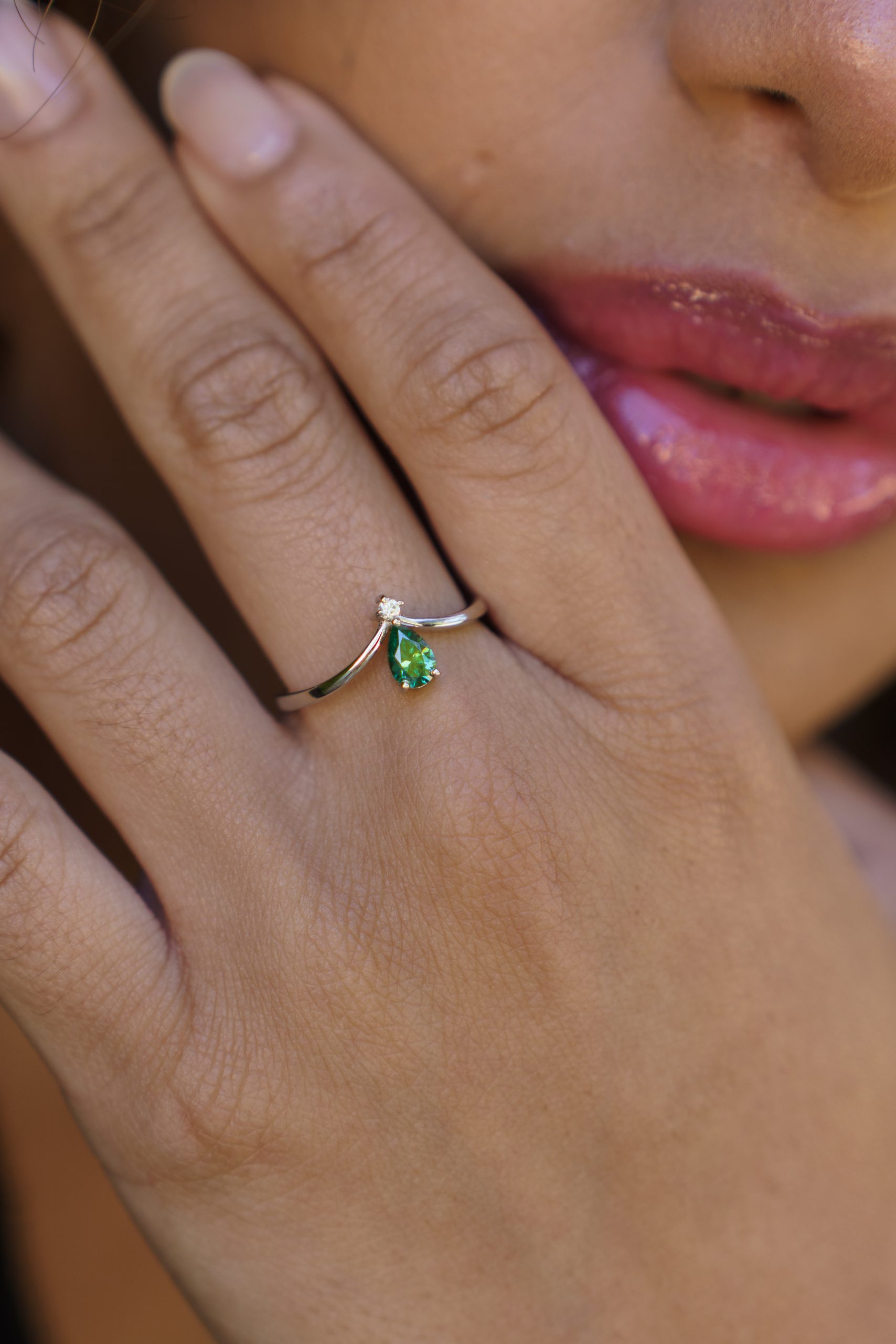 Modelo Victoria - Imagen 3