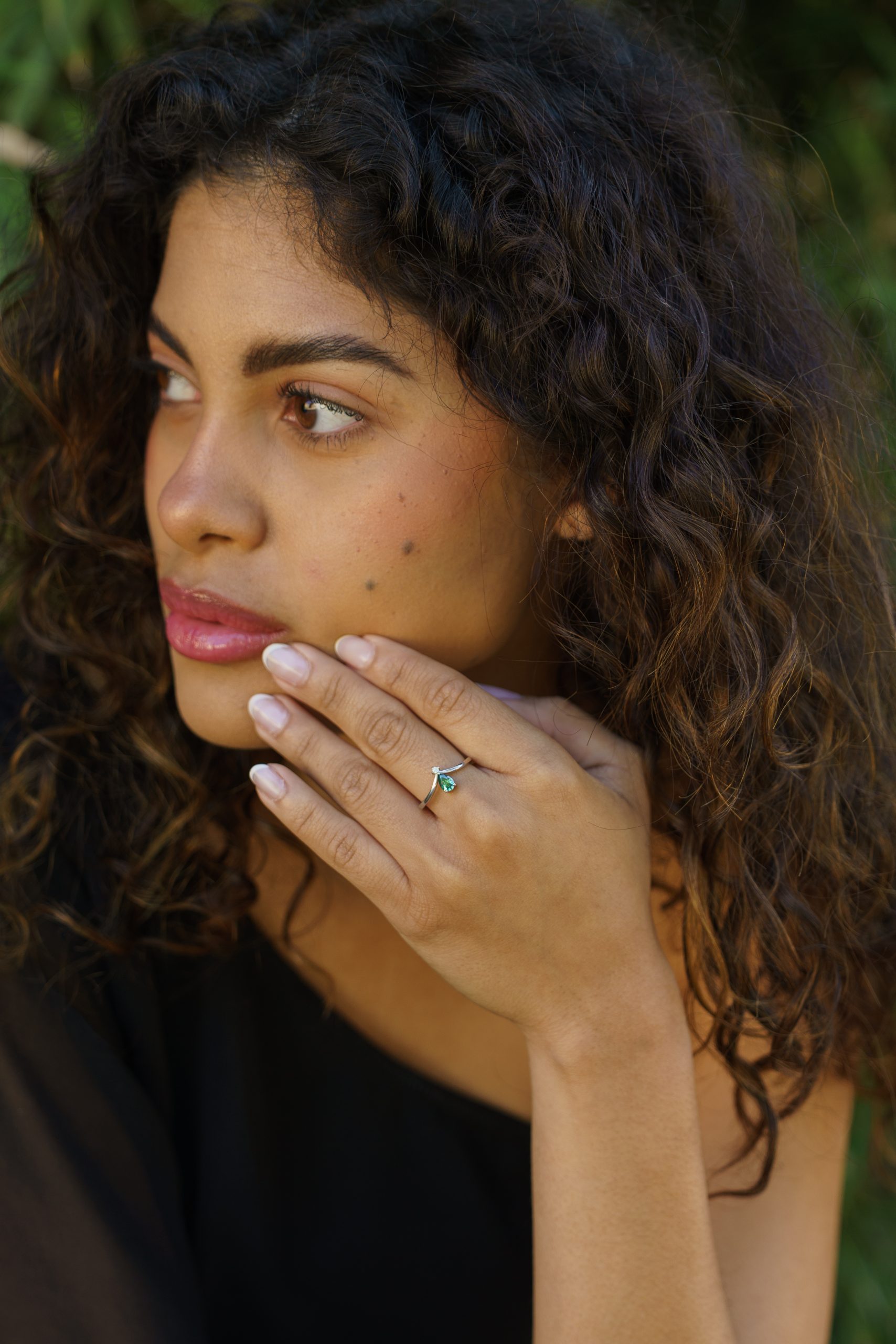 Modelo Victoria - Imagen 2